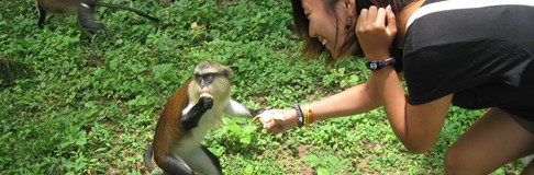Dierenselfies: de do’s en don’ts