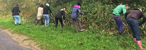 Natuurwerkdag 2017