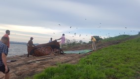 Hoe groen je kan gaan in Sri Lanka?
