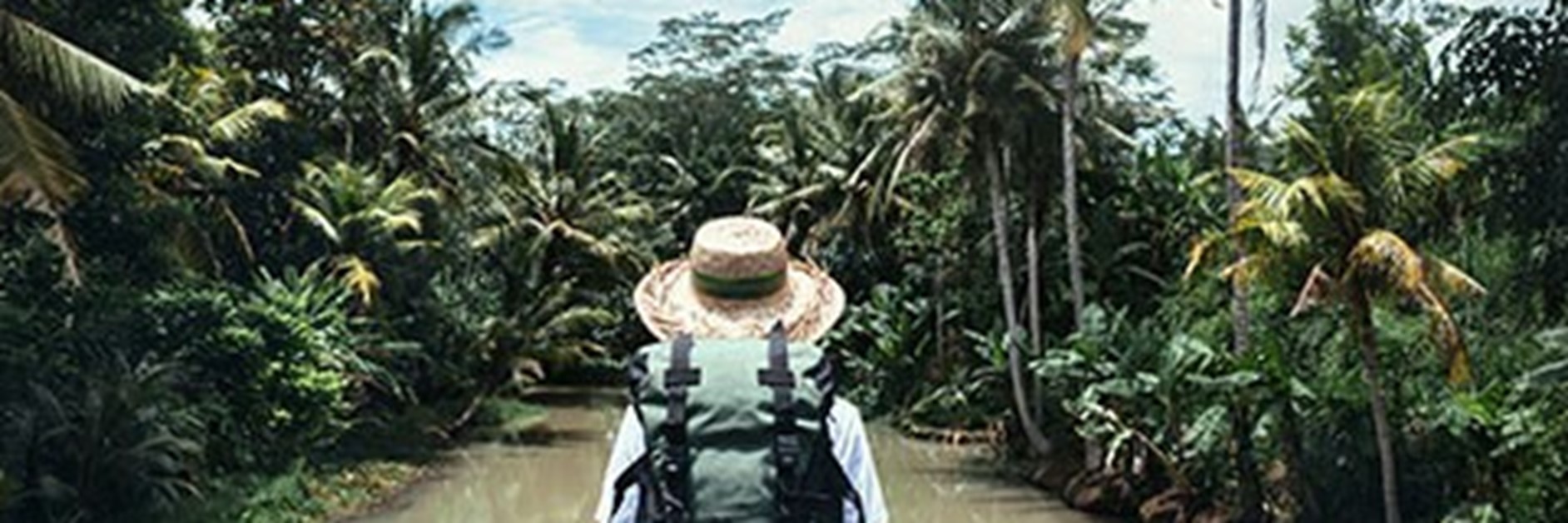 introduction-image