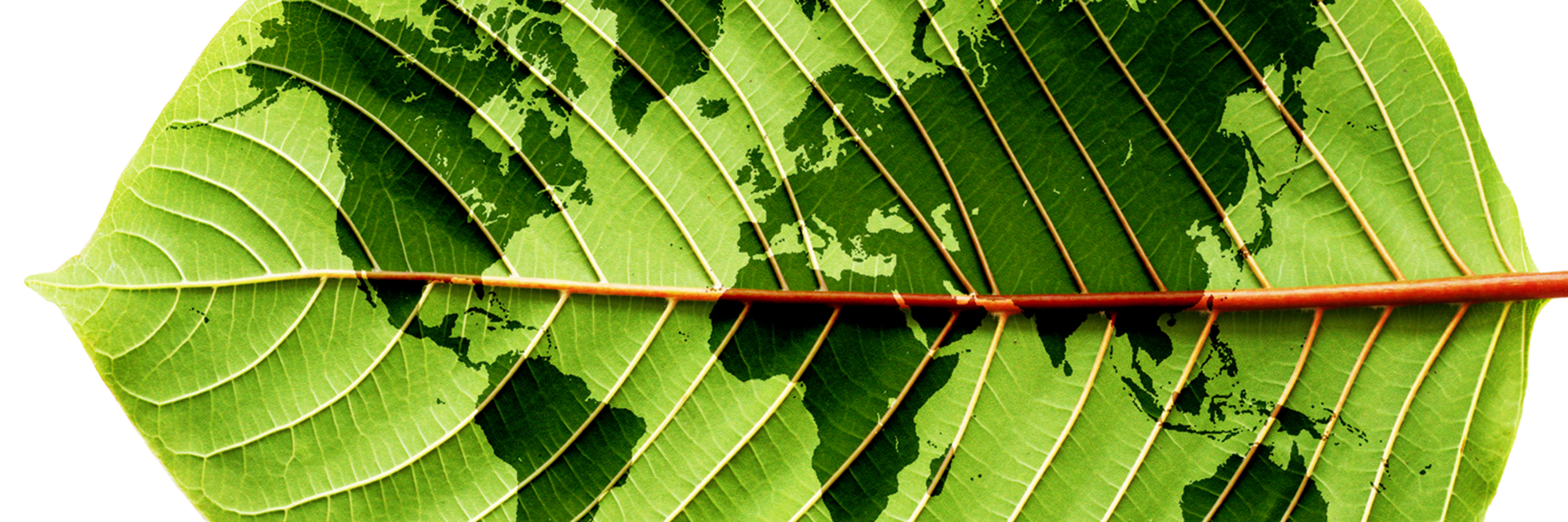 introduction-image