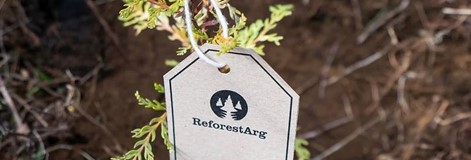 Jij reist, wij planten - een update uit Argentinië