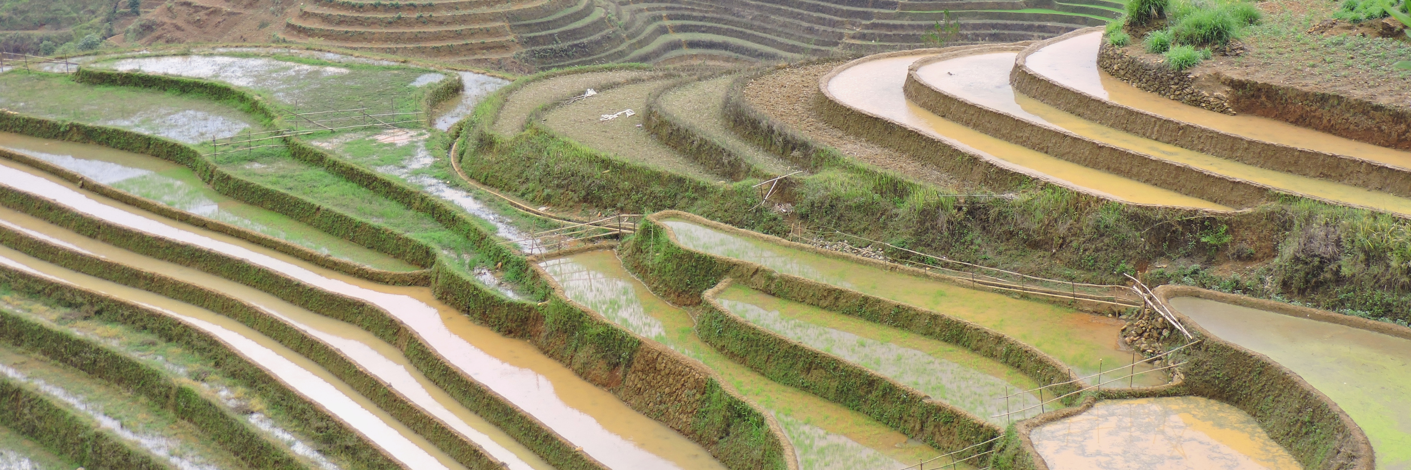 Thuis bij de lokale bevolking in Vietnam's homestays